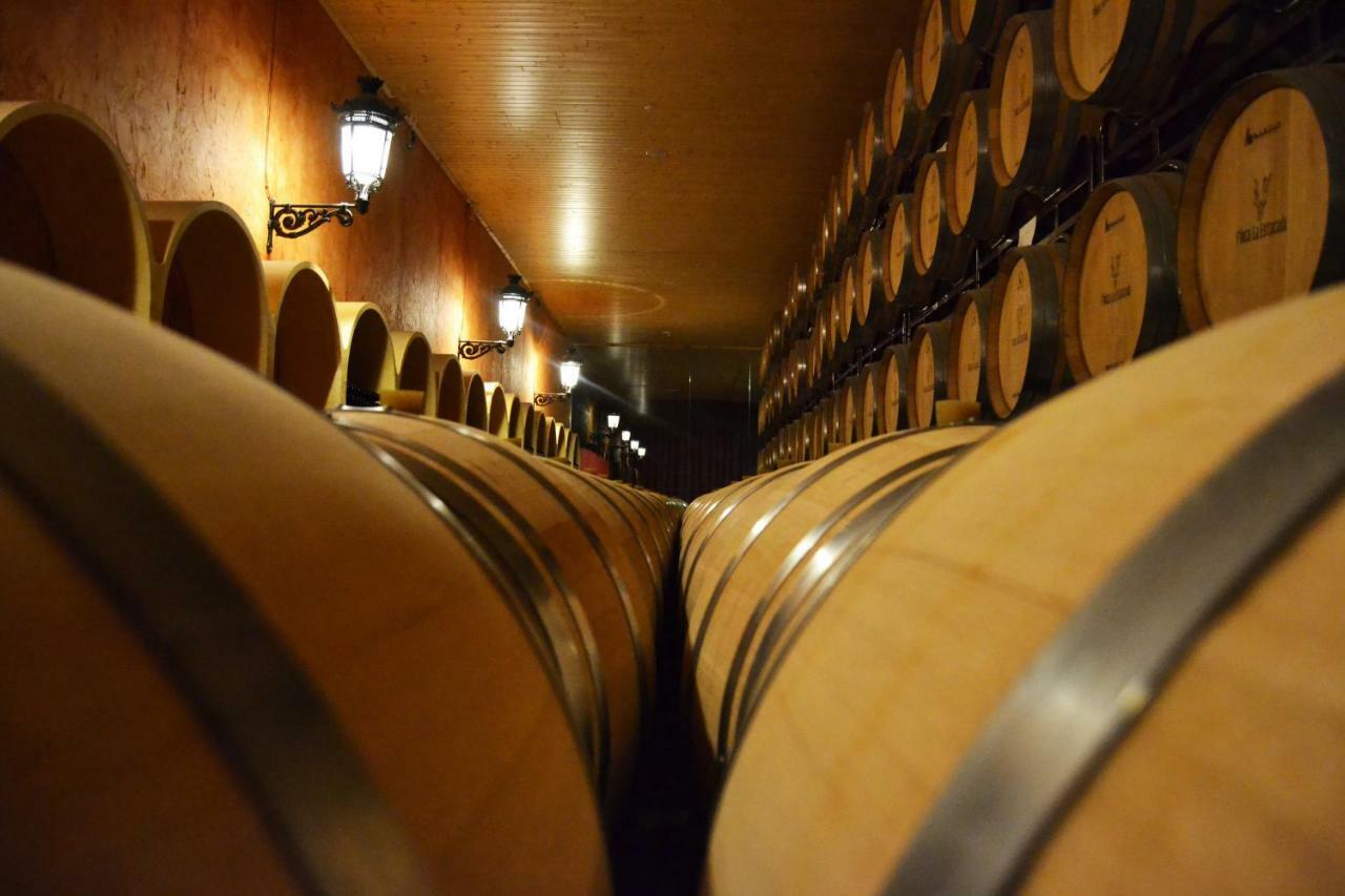 Complejo Enoturistico Finca La Estacada Tarancón Εξωτερικό φωτογραφία