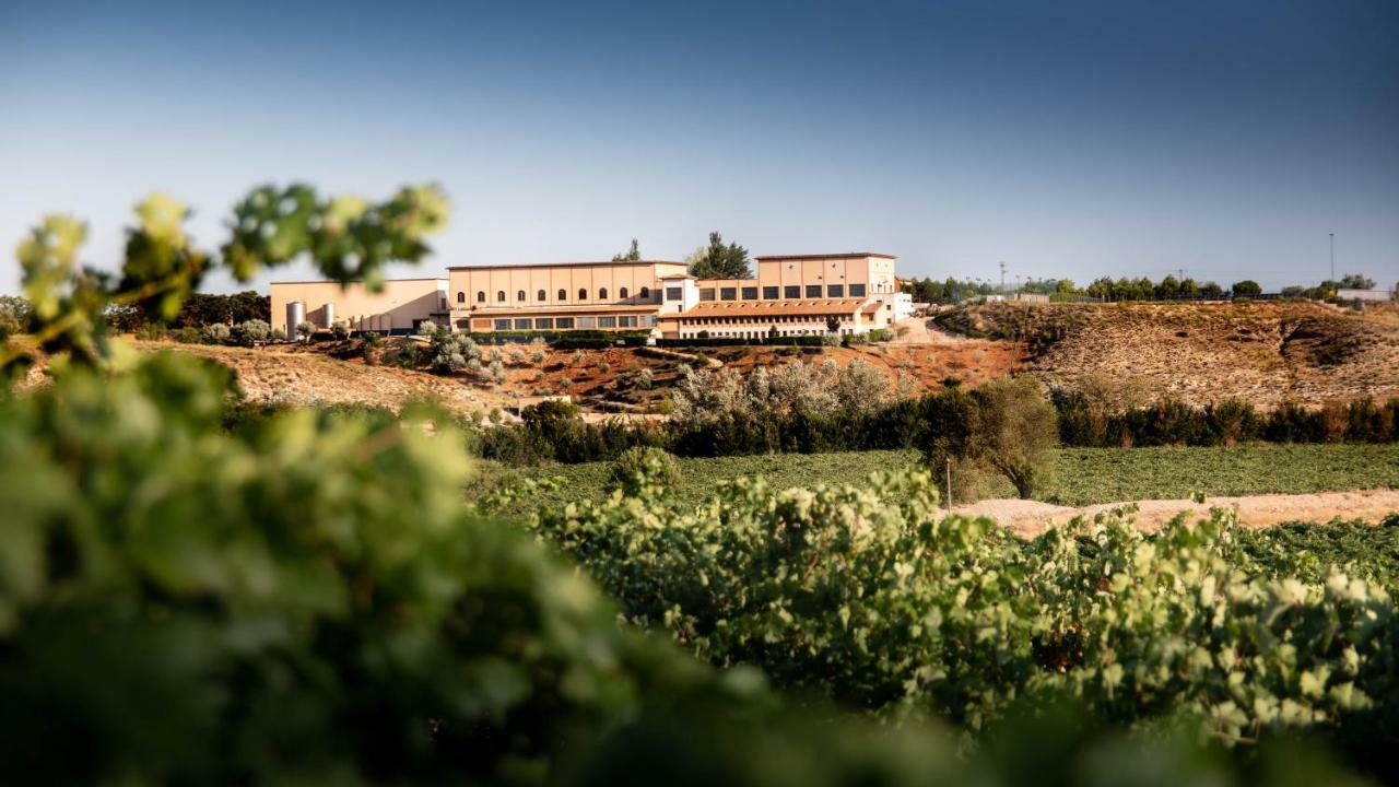 Complejo Enoturistico Finca La Estacada Tarancón Εξωτερικό φωτογραφία