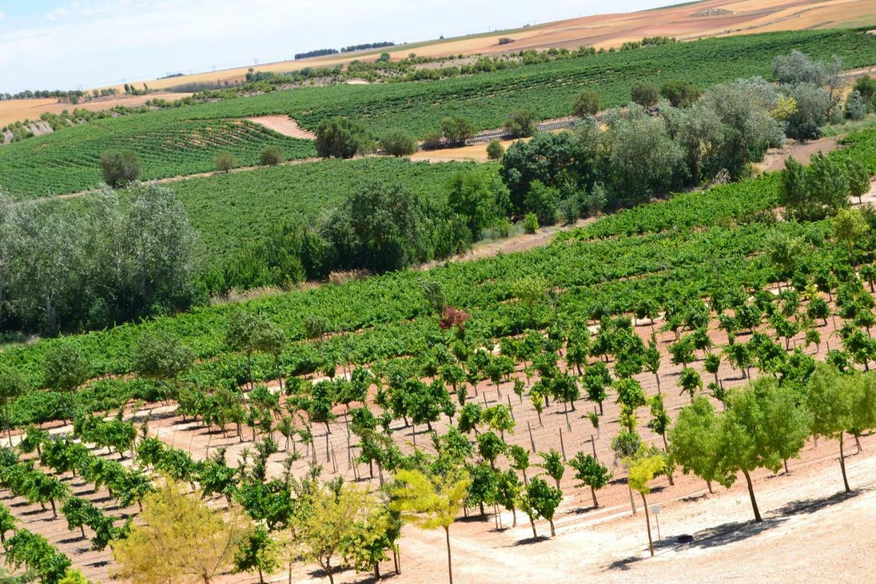 Complejo Enoturistico Finca La Estacada Tarancón Εξωτερικό φωτογραφία